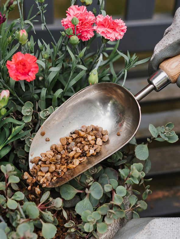 Potting Scoop